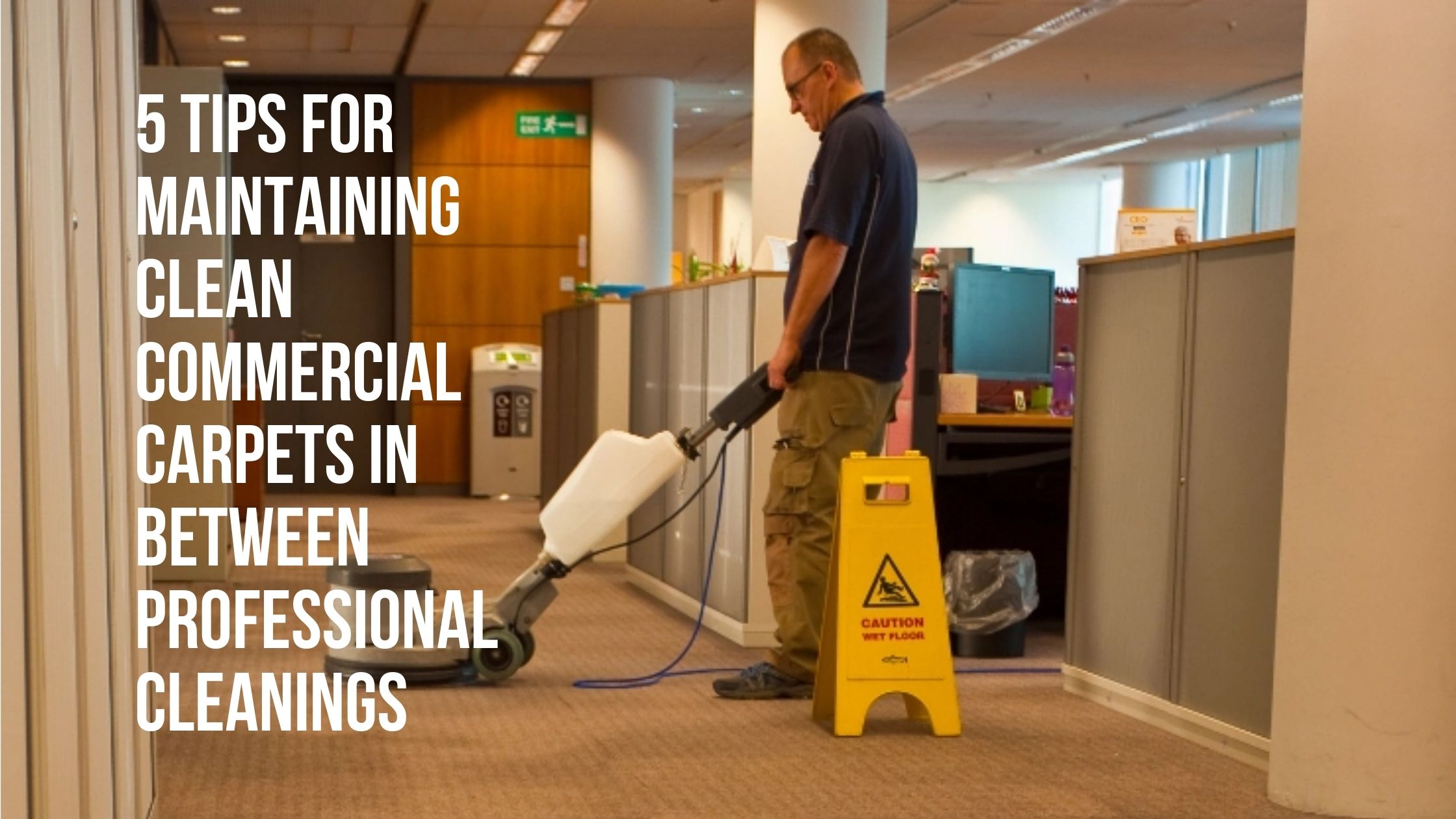 5 Tips For Maintaining Clean Commercial Carpets In Between Professional Cleanings